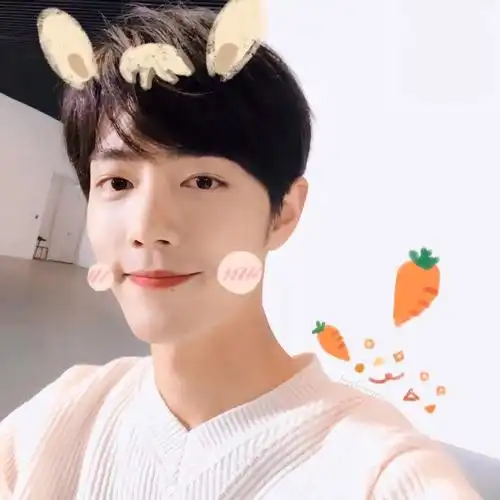 爱豆肖战头像迎着光奔跑吧