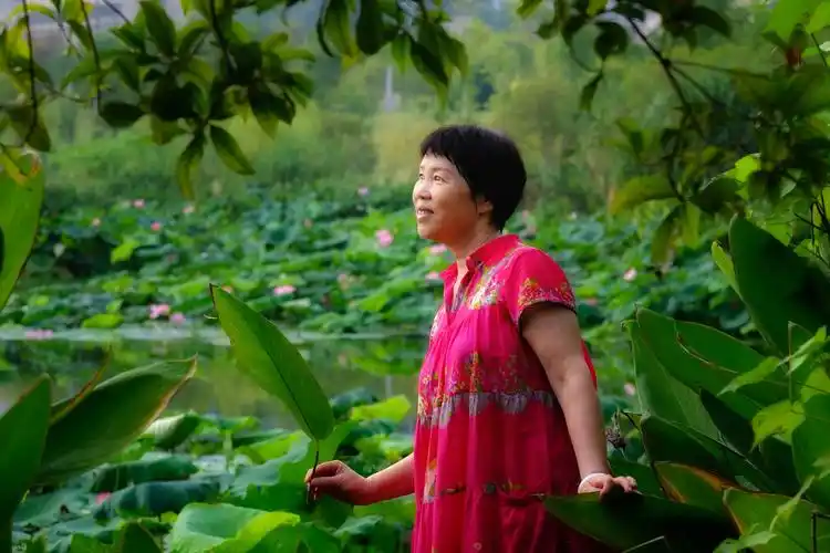 西湖的美人美景