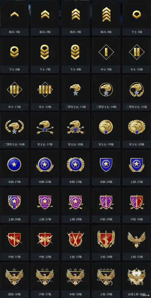 军衔等级图鉴 - csgo段位图片 - 实验室设备网