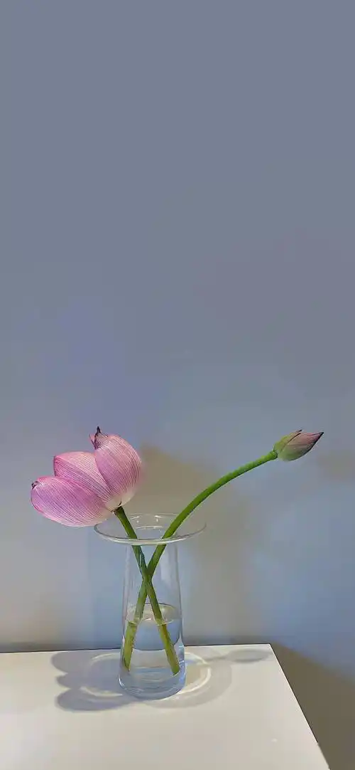 高清全面屏壁纸 | ins高级质感