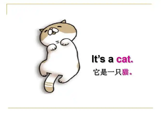 its   cat. 它是一只猫.