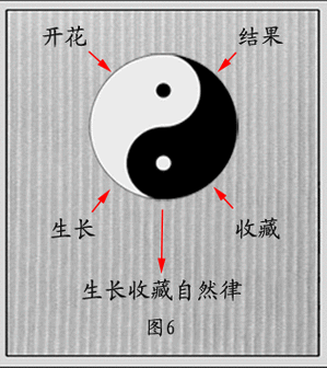 王经石太极图说