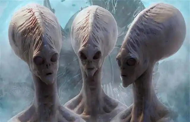 人类未来还会进化吗看看100万年后的模拟图令人承受不住