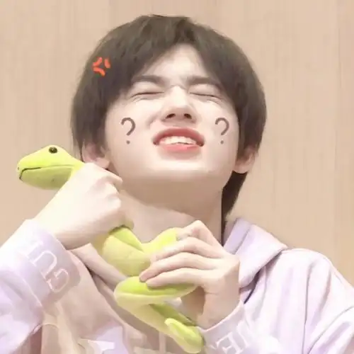 宋亚轩头像 是可爱芽芽