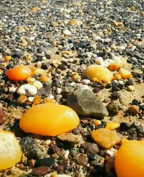 戈壁滩火山口捡宝石