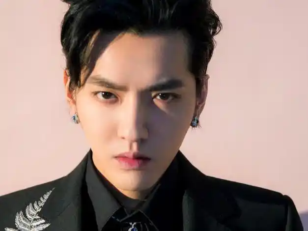 吴亦凡案犯罪事实披露,2个月糟蹋3名女生,母亲吴秀芹已成老赖