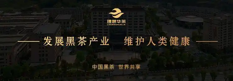 理想华莱:历经五年沉淀,为世界奉上一杯中国黑茶