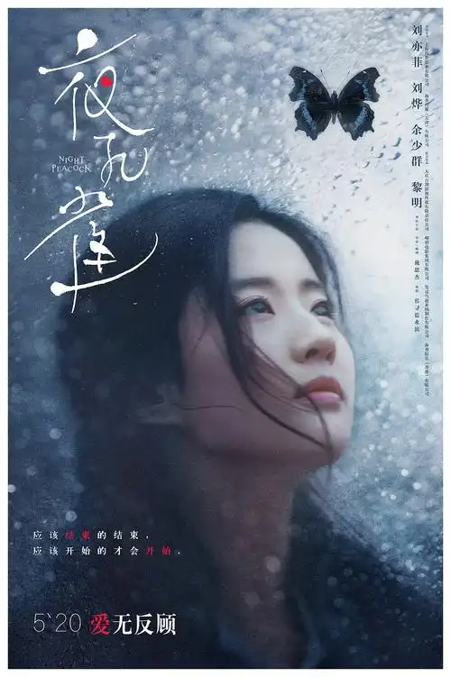电影《夜孔雀》「窗雨」海报