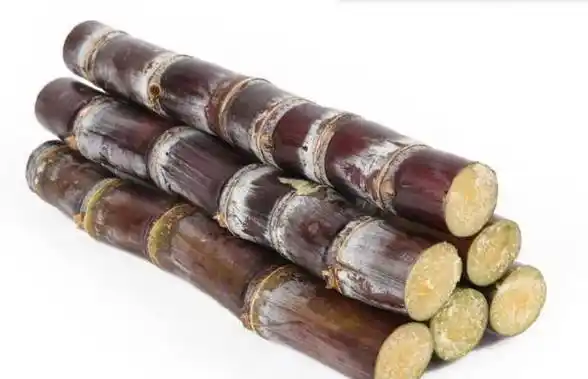 甘蔗有什么功效和禁忌?白