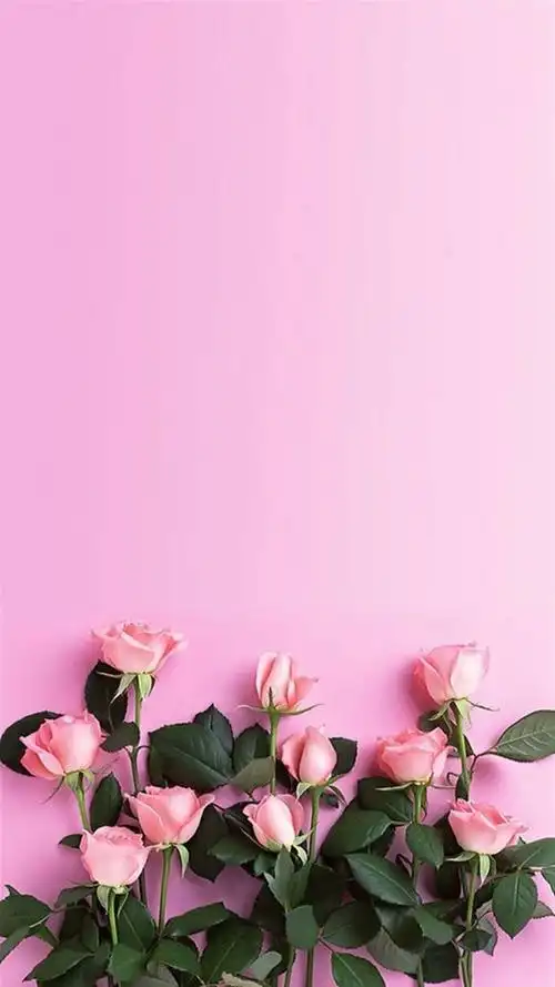 唯美亮丽花卉锁屏,高清桌面,手机锁屏图片-壁纸族