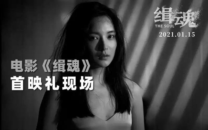 【首映】《缉魂》首映礼孙安可,张柏嘉两小花无剧透解读影片_哔哩哔哩