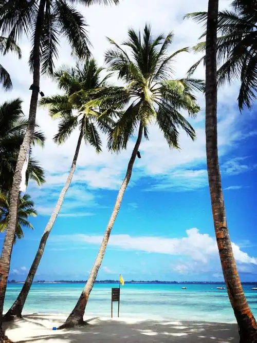 椰树,沙滩,蓝天,白云,碧绿的大海,一切扑面而来.