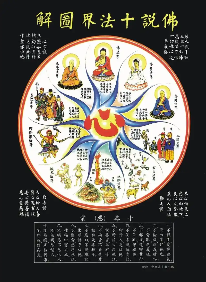 lansedehai666的博客