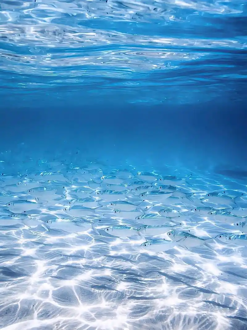 ins风蓝色高级质感调色  95iphone 原相机调色秘籍大公开!