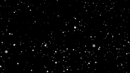 426_240gif 动态图 动图