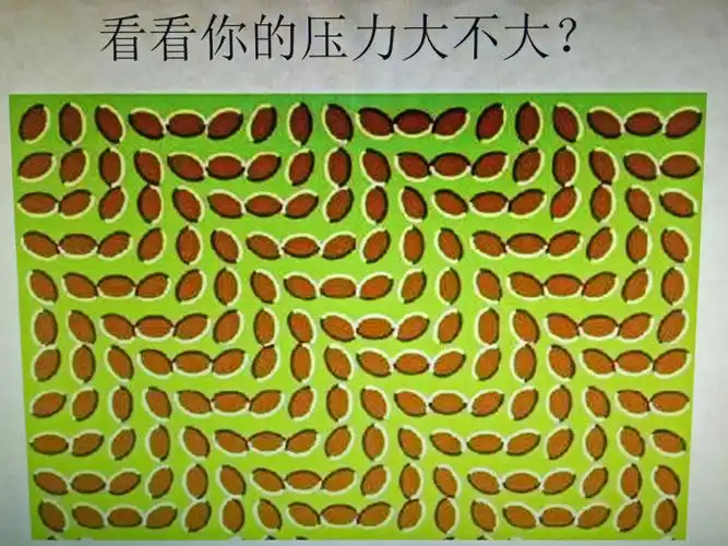 看这张图?看看你的压力大不大?没有考试,我们就能消除压力吗?