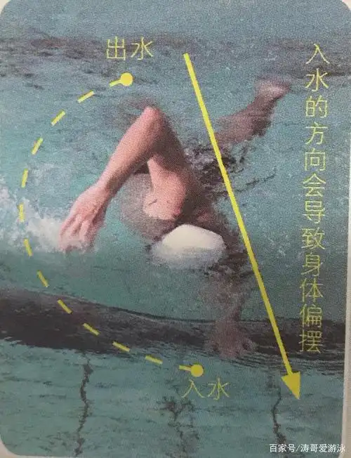 自由泳手臂划水五个阶段详细讲解