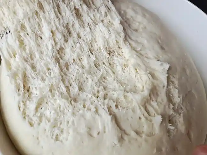 酵母菌发酵(酵母发面的原理是什么)插图