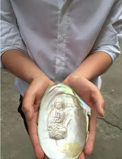 福州市民江边捡到"长"佛像的贝壳有手掌大小