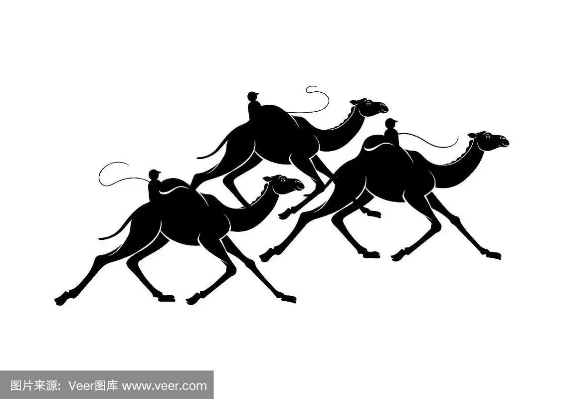 在驼峰上有一个机器人骑手的驼峰比赛中,黑色的骆驼剪影图.