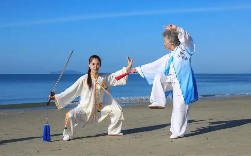 三亚椰梦太极拳友会2021年新春纪念 - 美篇