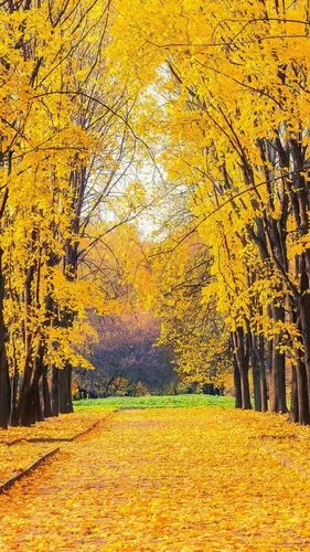 2019简约好看的手机壁纸推荐 32张微信聊天背景图片大全