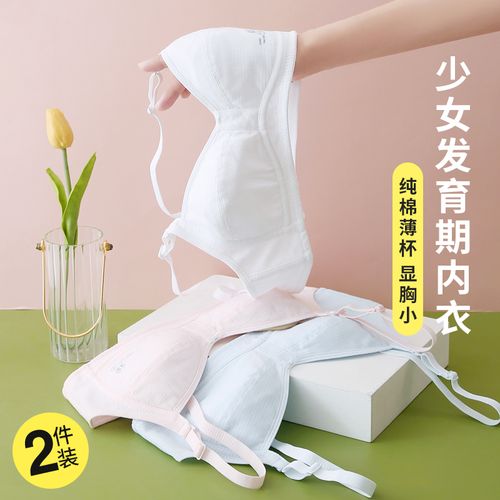 内衣女学生高中少女17岁纯棉青春发育期初中生15文胸中学生薄款夏