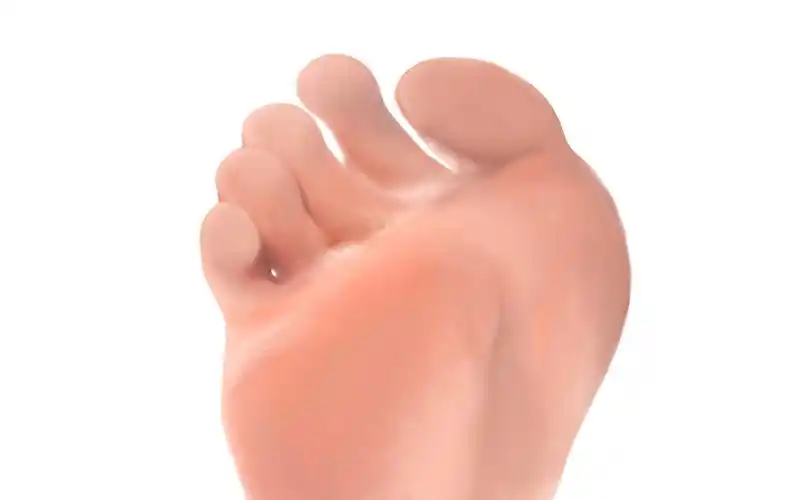 大脚丫子_哔哩哔哩 (゜-゜)つロ 干杯~-bilibili