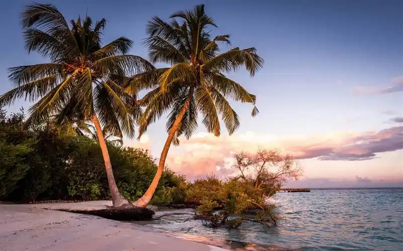 glow/9nw0xzmjb8xj下载壁纸包后,转到"开始">"设置">"个性化">"主 ""