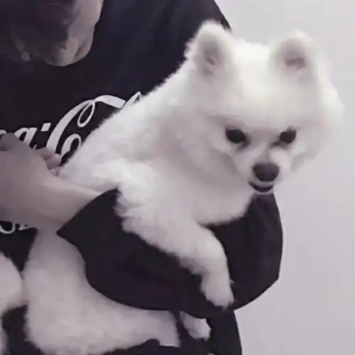 女友不是人系列情头