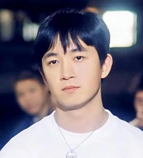 黄磊年轻照(黄磊发福)(47)