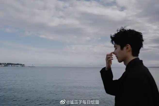 刘昊然单肩披风西装