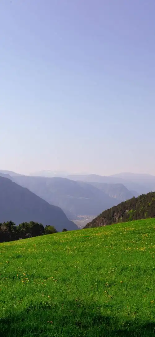 700_1516竖版 竖屏