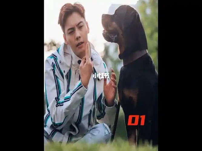 狗狗忠诚护主就连主人的丈夫都能下狠手