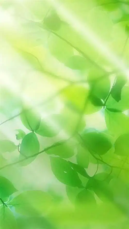 精选小清新绿色锁屏