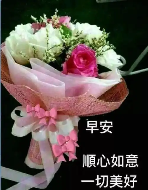 早上好图片大全好看的早安问候祝福图(最美早上好问候语图片带字早安