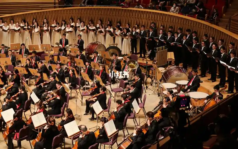 用我的新春音乐会照片拜年了