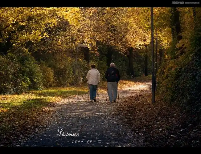 ps调出公园里散步老年情侣温馨意境教程