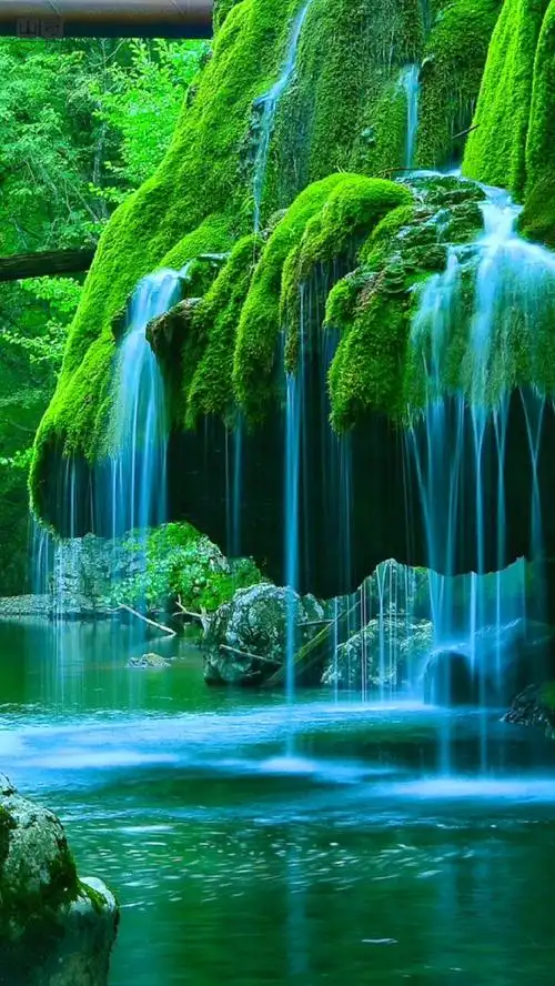 青山绿水似为仙