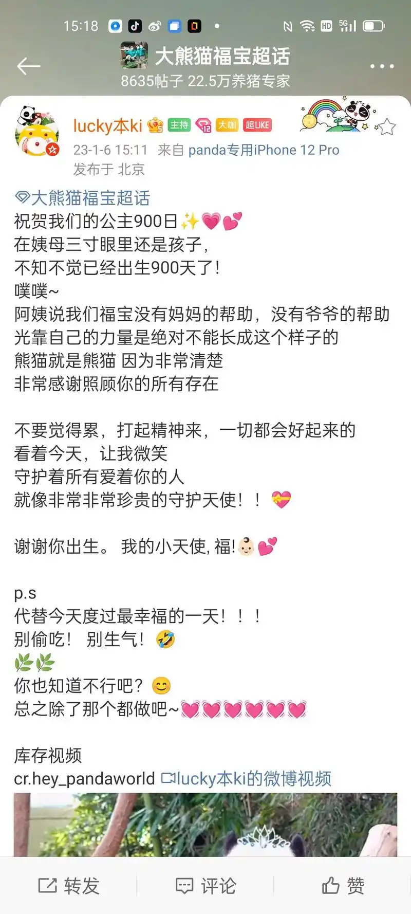 大熊猫福宝 截图来至福宝超话 - 抖音