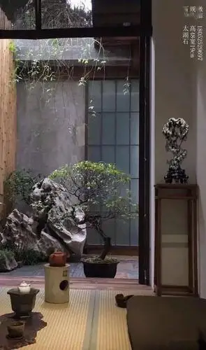 "禅意小院"让民宿撑起康养_庭院