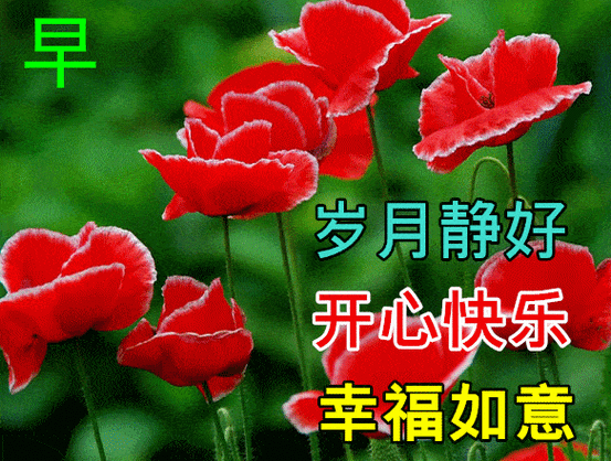2021早上好祝福表情图片大全早上好动态鲜花图片