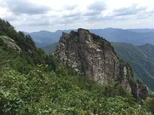 夏日炎炎,去秦岭 终南山 牛背梁森林公园享受清凉,拥抱绿色,拥抱自然
