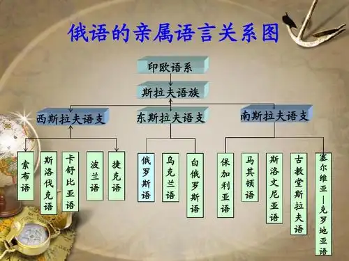 哲学/历史 俄罗斯历史ppt 俄语的亲属语言关系图 印欧语系 斯拉夫语族