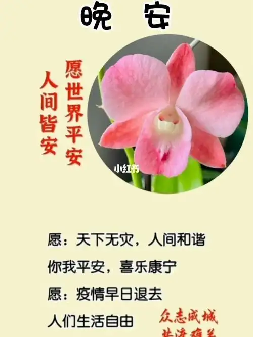 愿人间吉祥安康