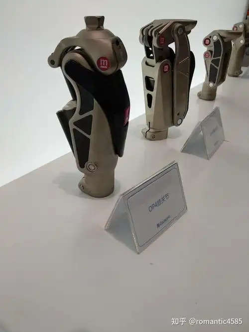 假肢配件介绍与更换知识汇编20200910