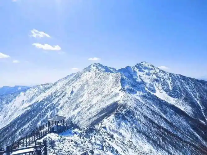 太白山"乒"出真我_景点_海拔_杜鹃