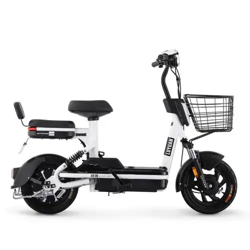 绿源新款电动自行车小型女士电瓶车feo成人男女通用48v代步电动车参数