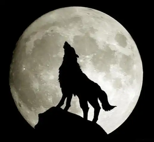 好看的背景霸气头像图片大全集 霸气头像图片大全 -【爱个性】