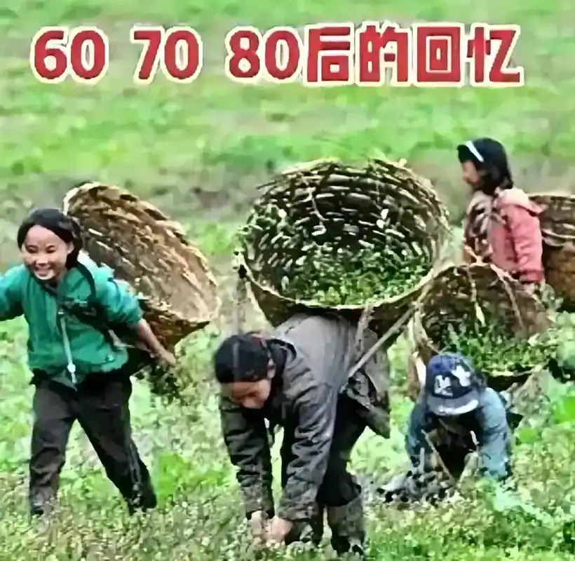 小时候的的回忆录……70后的回忆……再也回不到童年时候的那种 - 抖